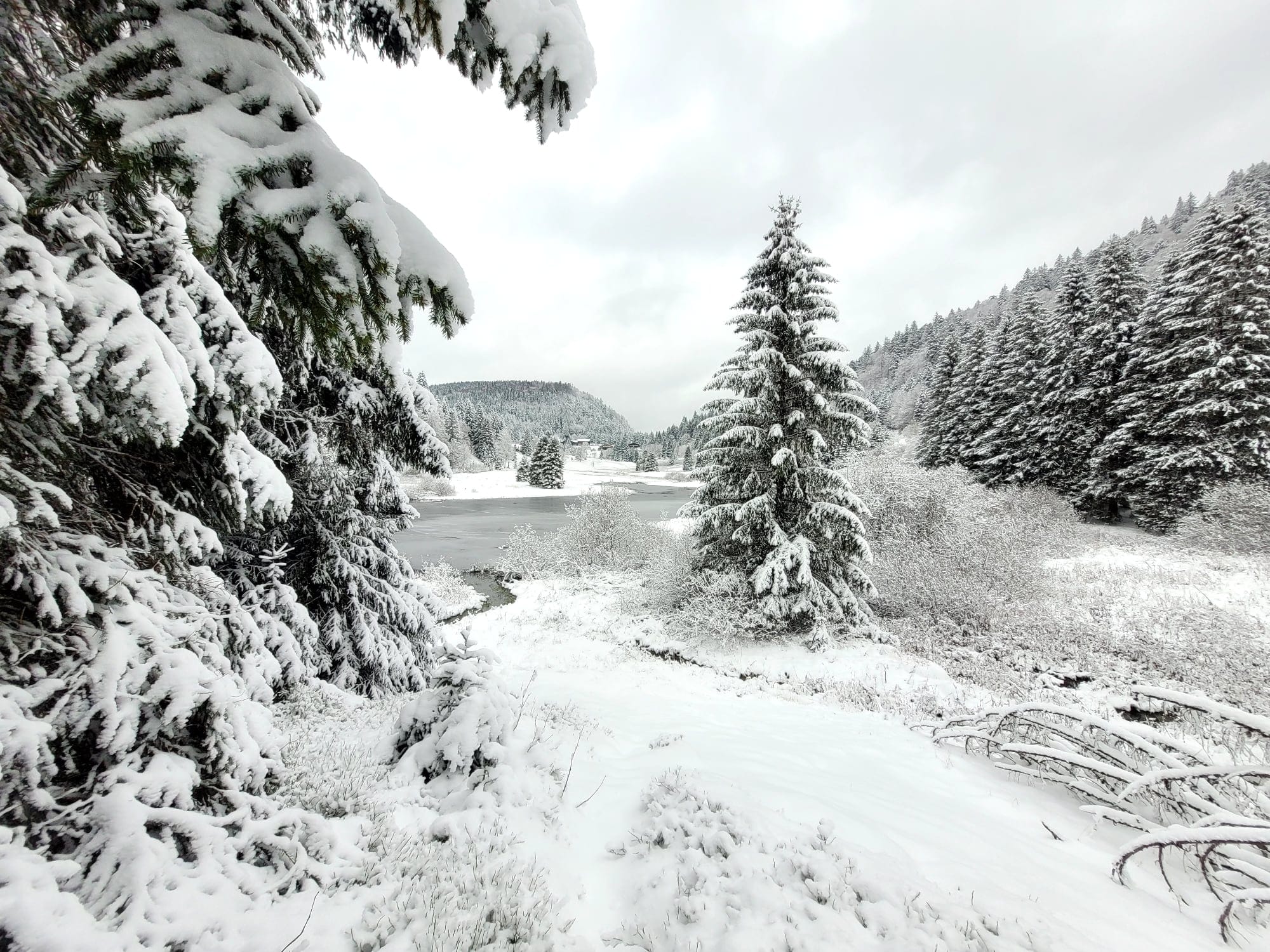 Quand partir dans les Vosges ?