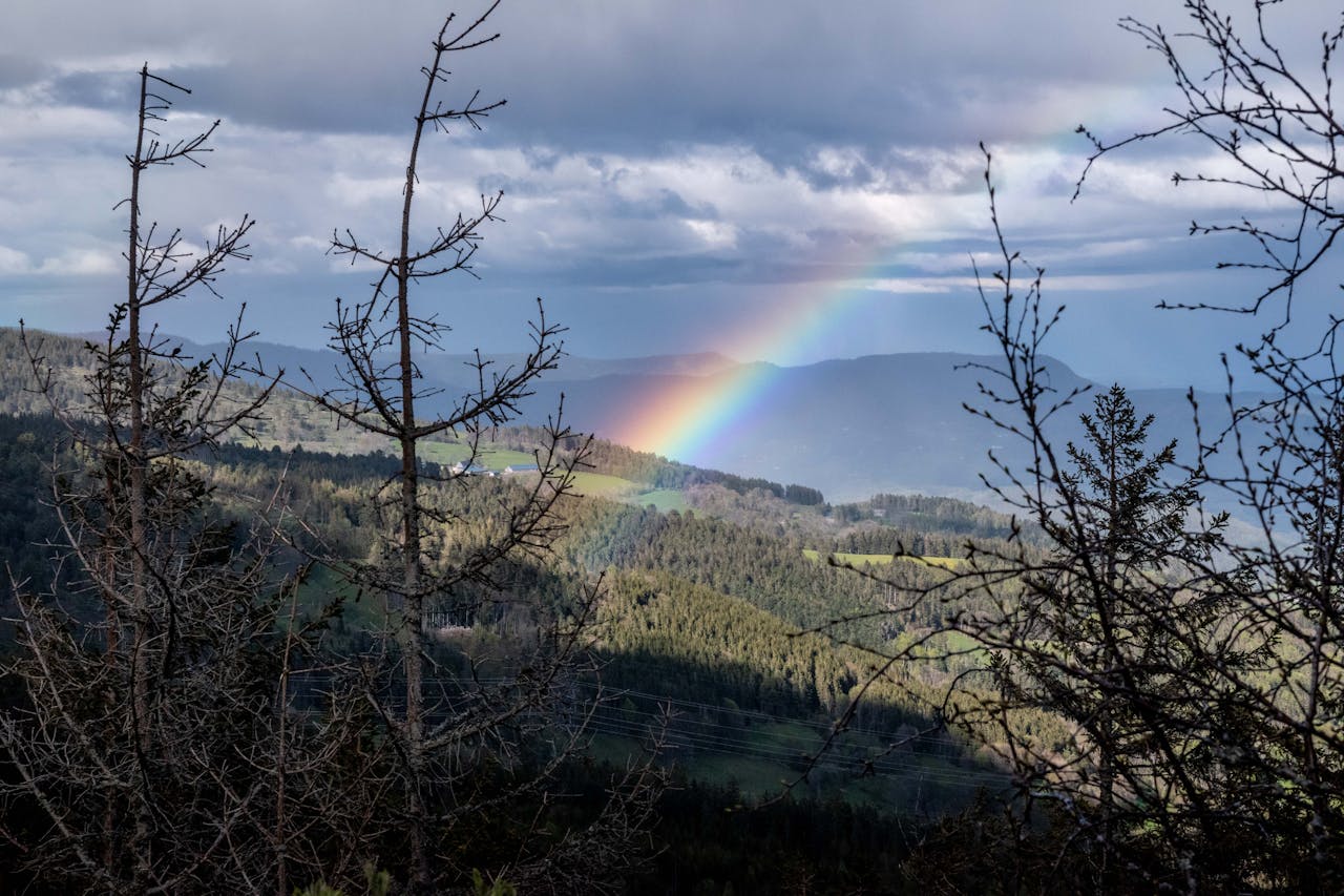 10 raisons de (re)venir dans les Vosges toute l’année